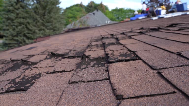 Best Roof Insulation Installation  in Strasburg, OH